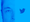 Elon Musk quer o Twitter