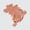 Repórter Brasil