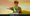 Bolsonaro.com.br vira site anti-Bolsonaro
