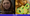 Marmitaverso se expande com cebolinha photoshopada e live doida